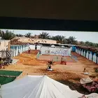 إيواء الخيل العربي بريده البصر