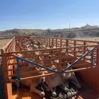 جوانب طويل لحلال الابل في جميع مناط