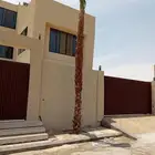 نخل واشنطونيا