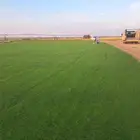 ثيل سي 2000طبيعي وصافي وطبيعي الموقع الخرج