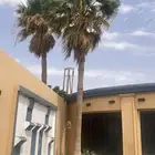 مقاول شبوك وزراعة النخيل