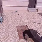 مبلط شغل جديد قديم داخلى خارجى