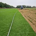 للتوصيل نجيله خضراء