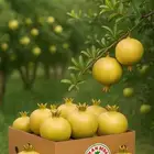 رمان بيده