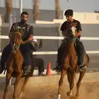 تعليم ركوب الخيل من 10سنوات