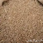 بني سعد قرية غرابه