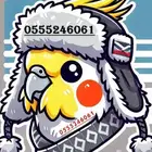 فندقة طيور 6061 24 0555 وقت سفرك - شاهد 35 تقييم