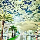 ابحث عن عمل