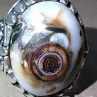 نوادر الداودي تحفه فاخرة