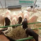 موقعنا مكة الرياض الباحة تبوك الخرج