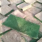 متوفر لدينا جميع انواع العشب الطبيعي والصناعي