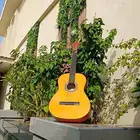 غيتار كلاسيكي C40  غيتار_كلاسيكي