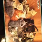 لعبة تركيبه بازل 1500 قطعه