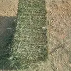 السلام عليكم ورحمة الله وبركاته اليوم عندي عرض بلوبنك طيب