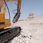 الاحساء حي الربوة