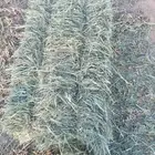 السلام عليكم ورحمة الله وبركاته اليوم عندي عرض بلوبنك طيب