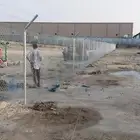 زراعه نخيل