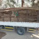 سعف وجريد نخل