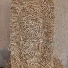 السلام عليكم ورحمة الله وبركاته اليوم عندي عرض تبن قمح طيب