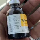سنديم اصلي تريخ 25 22شهر 1