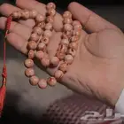 سبح فاتوران جملة