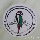 أصداف بحرية للطيور