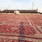 تجهيز مخيمات في مهرجان الملك عبدالعزيز لابل