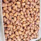 تمر اخلاص شقراء كميه