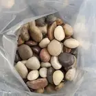 مشتل تنسيق حدائق