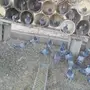 حمام زاجل 