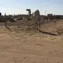 ضروبه طيبه للبيع