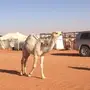 مفروده شقحاء مزاين للبيع