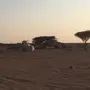 حوش غنم كبير  وشبك ابل جاهز للبيع 