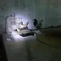 للبيع دجاج بلدي نضيف وعل الشرط