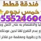 فندقة قطط وطيور 6061 24 0555 تقييمات ايجابية