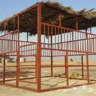 شبوك الرياض