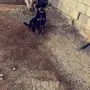 روت وايلر ب2400