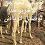 حاشي زبده نحر غدا