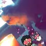 قطه كيتن بيكي فيس