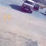 صدام بوليسي للبيع 