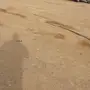 تيدر للبيع  تبوك