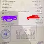 خيل عربي اصيل