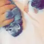 قطط للبيع شيرازي اب فان تركي 