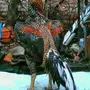 دجاج تايلندي