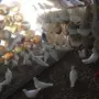 زغاليل لاحم فرنسي فروخ للاكل 