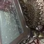 طاولة 