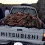 حطب طلح حملة غمارتين