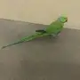 ذكر دره متكلم
