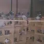 حمام زاجل ازرق
