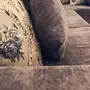 اثاث  كنب